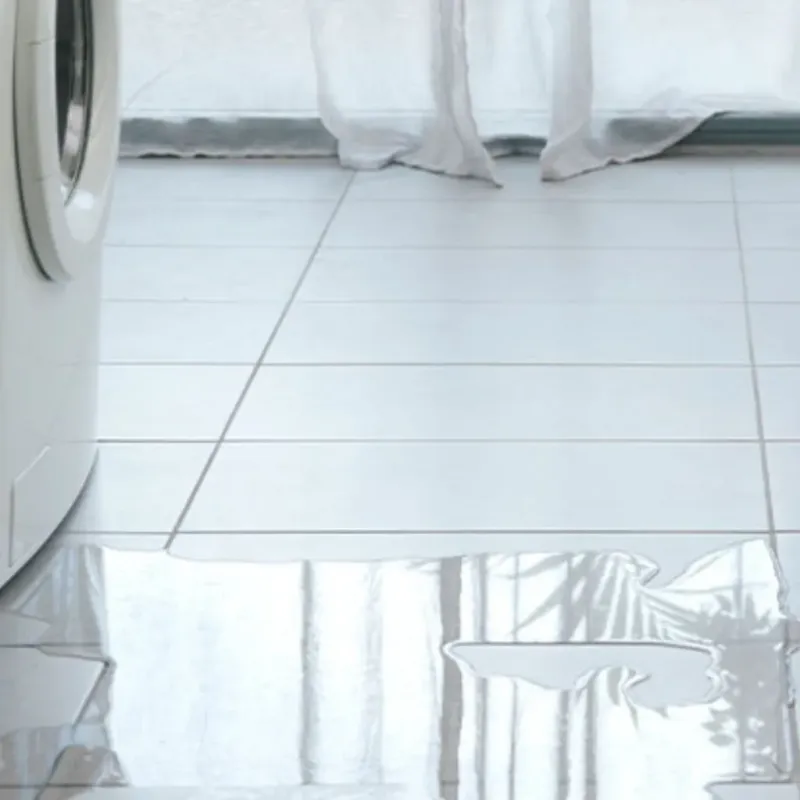 Appliance Leak Cleanup in Lawrence County, IL