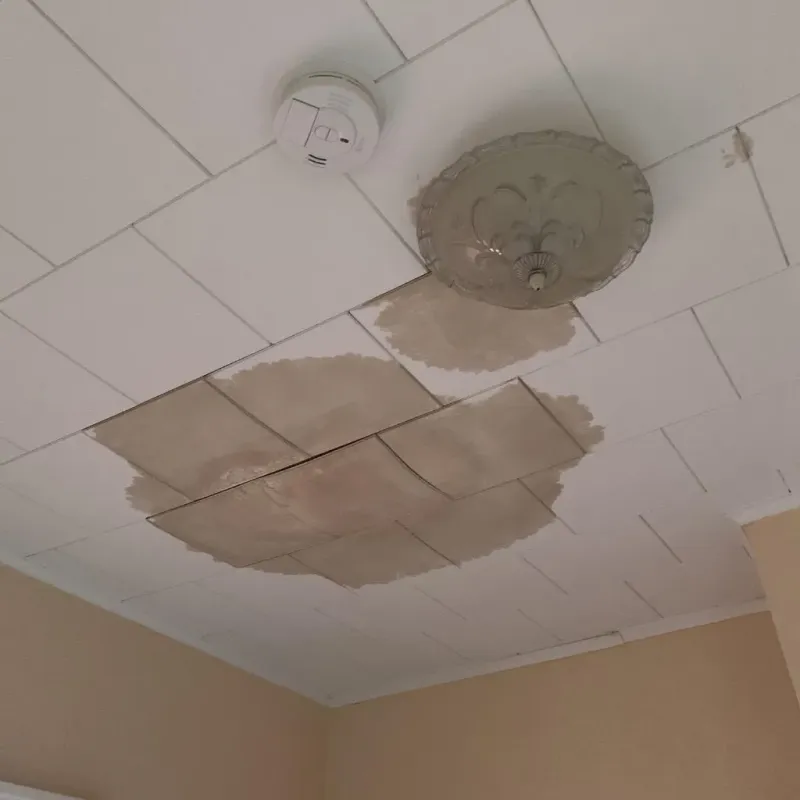 Ceiling Water Damage Repair in Lawrence County, IL