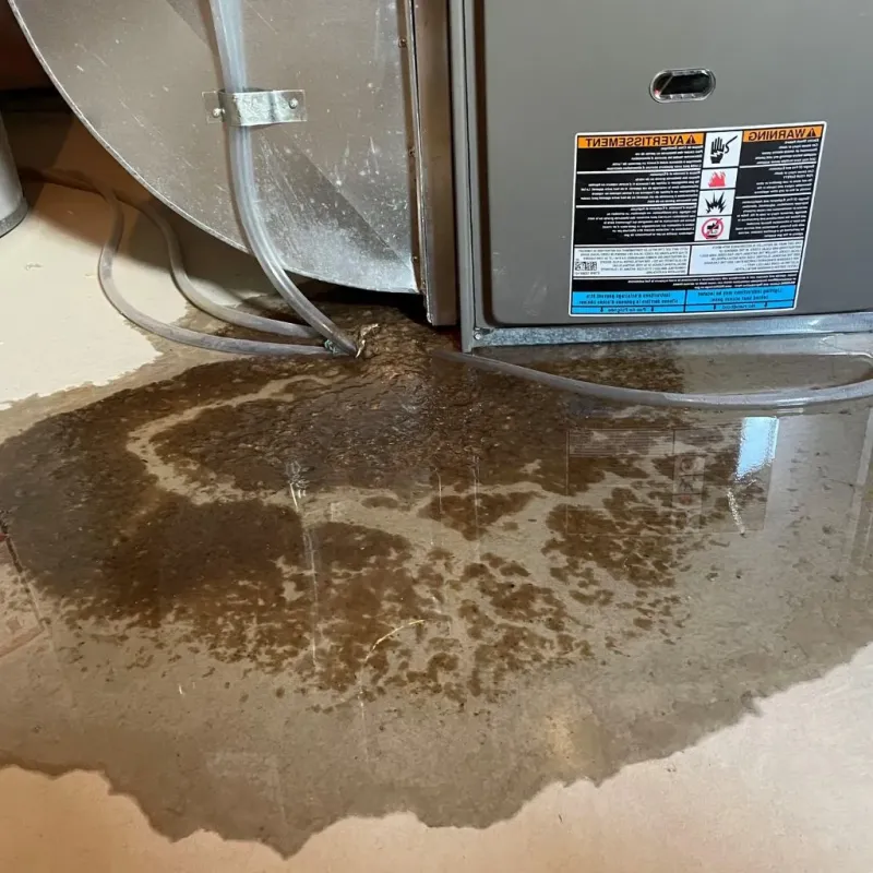 Pipe Burst and Leak Restoration in Lawrence County, IL